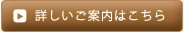 �ڂ������ē��͂�����
